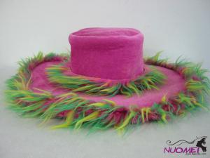 HS0215  Fashion hat