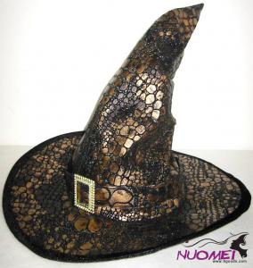 HS0250  Fashion hat