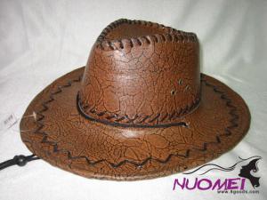 HS0289  Fashion hat