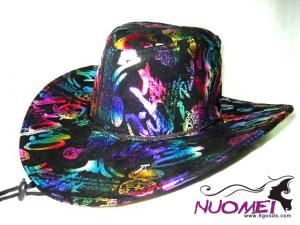 HS0294  Fashion hat