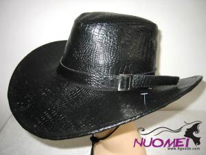 HS0296  Fashion hat