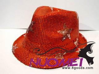 HS0370    Fashion hat
