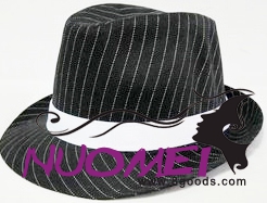 HS0376    Fashion hat