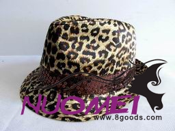 HS0379    Fashion hat