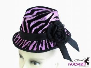 HS0392      Fashion hat