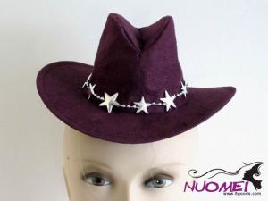 HS0408     Fashion hat