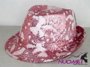 HS0564     Fashion hat