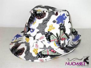 HS0560     Fashion hat