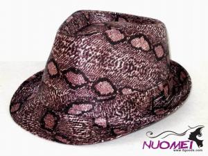 HS0556    Fashion hat
