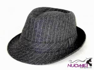 HS0554    Fashion hat