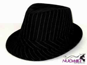 HS0553    Fashion hat