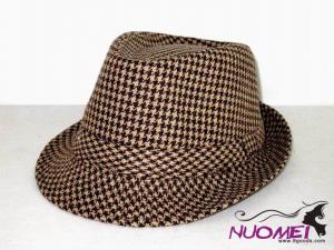HS0551    Fashion hat