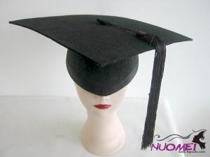 HS0458     Fashion hat