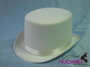 HS0441    Fashion hat