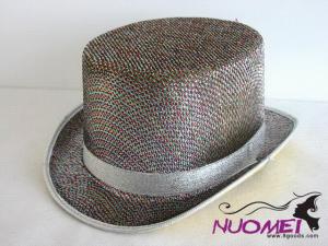 HS0493 Fashion Hats